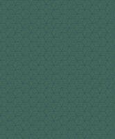 CONNEXIONS VERT CANOPEE ALCHIMIE CAD