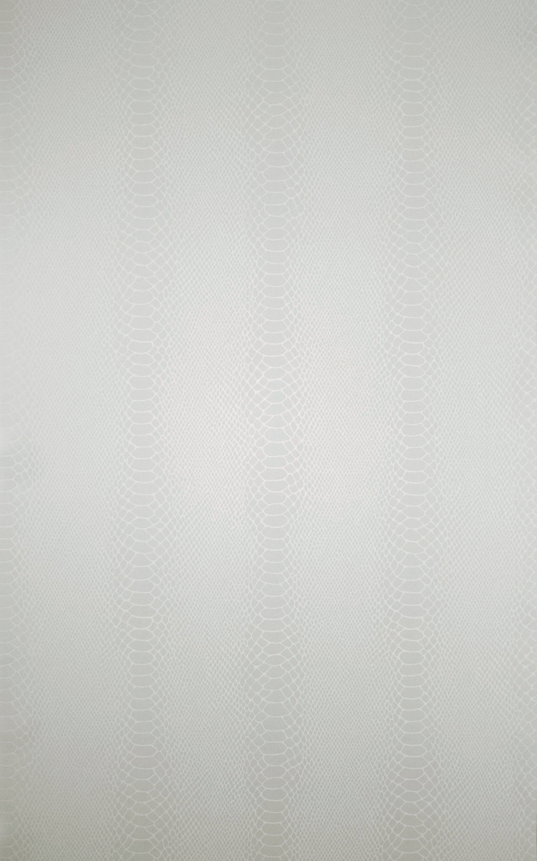 Osborne & Little - Cobra White/Mica