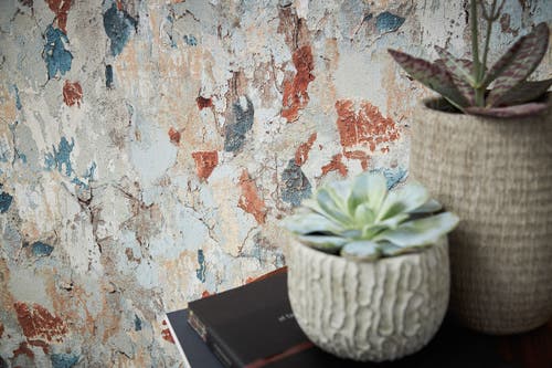 Metropolitan Stories II