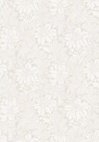 Acanthus- Vårt Arkiv