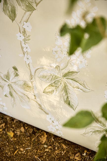 Sanderson - Chestnut Tree Seaspray/Pe Country Woodland Wallcove