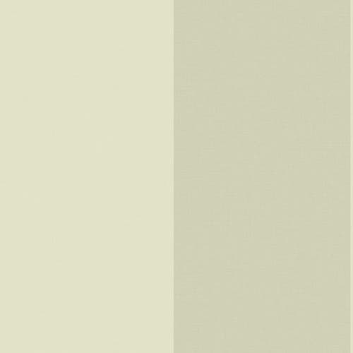 Caselio - Xxl Lines Vert Amande