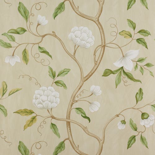 Colefax and Fowler - Snow Tree Cream