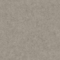 BETON UNI TAUPE GRIS FONC BETON 2