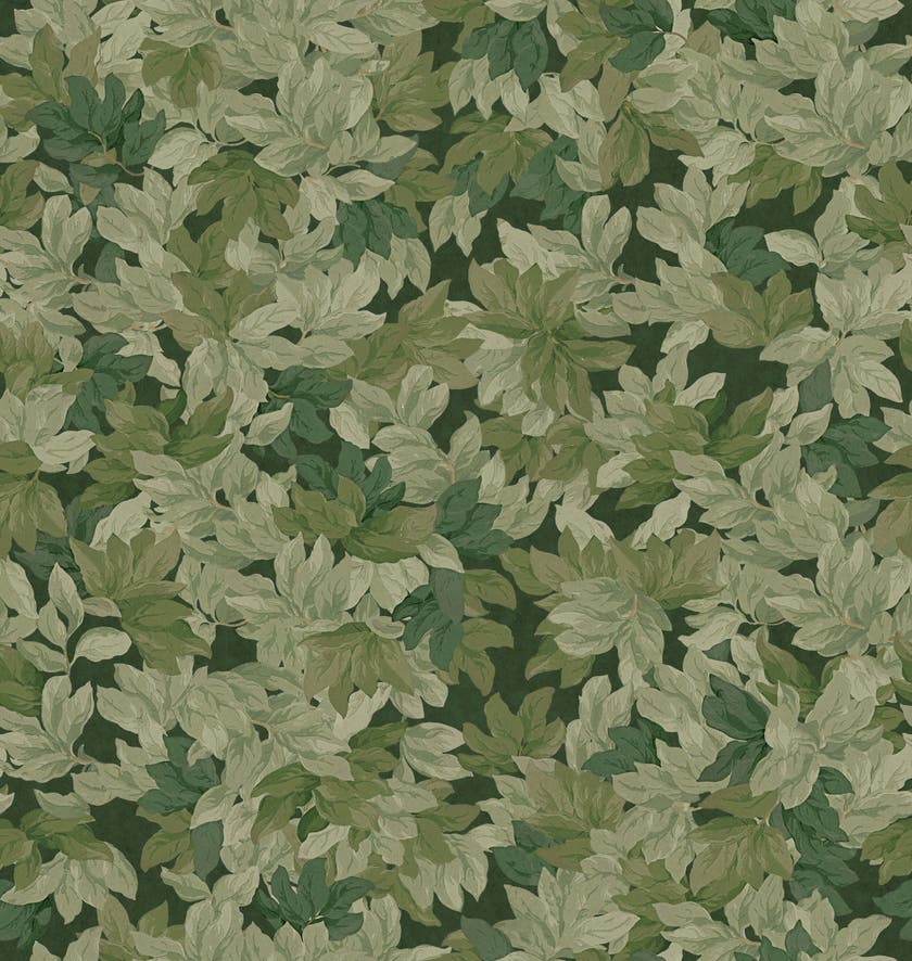 Boråstapeter - Tree Canopy