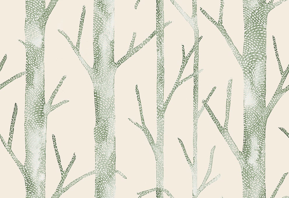 Jannelli & Volpi - Everett