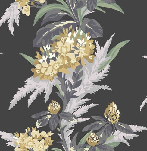 Carma - Aurora Jet NW Aurora