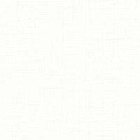 TOILE DE LIN BLANC SO COLOR 5