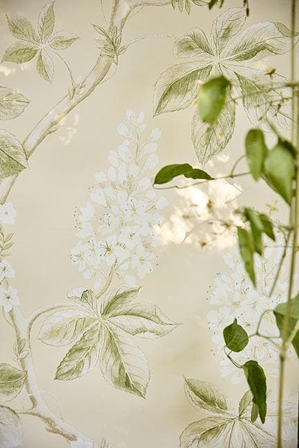 Sanderson - Chestnut Tree Seaspray/Pe Country Woodland Wallcove