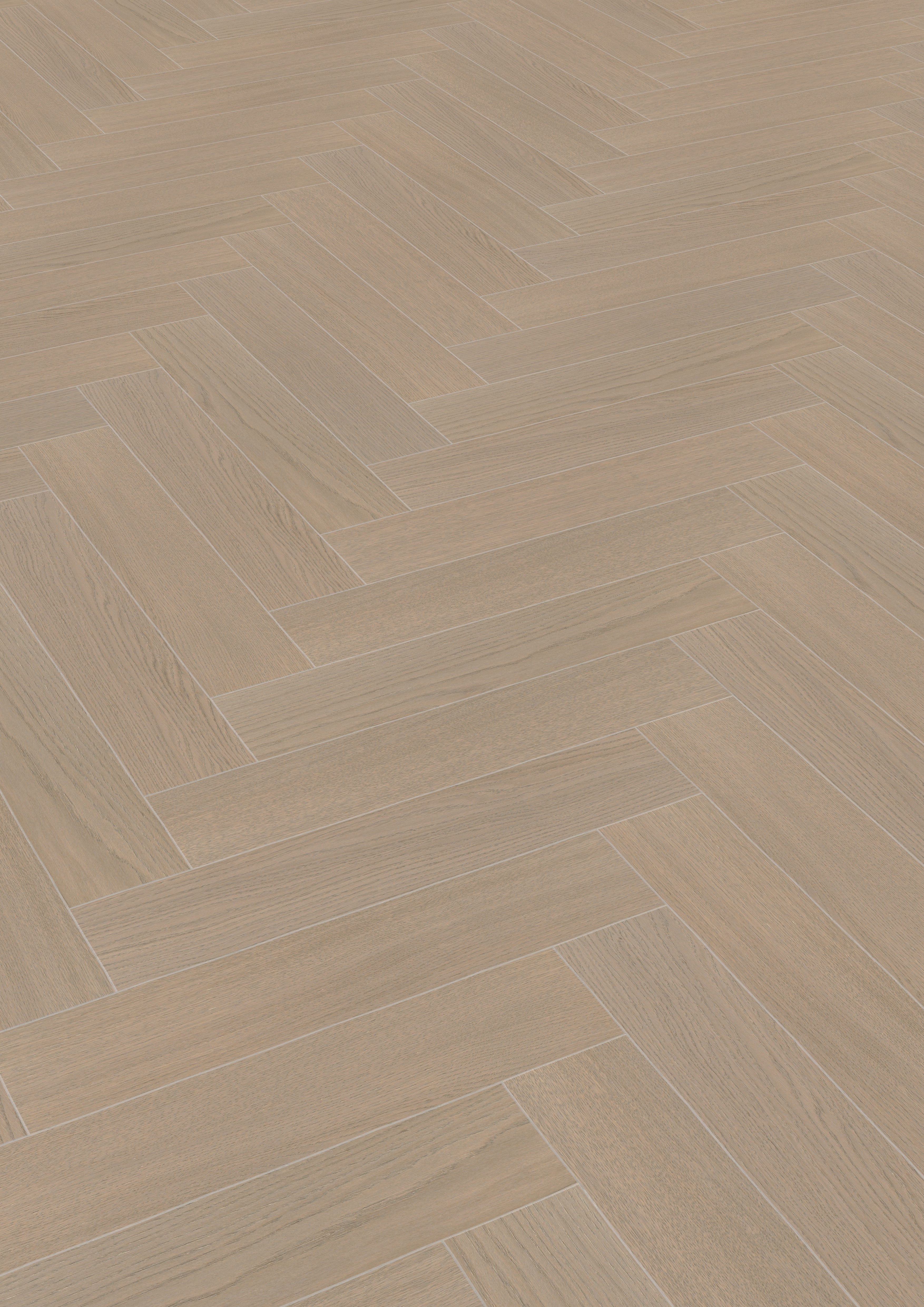 Maxwood Jazz - Ek Dimgrå