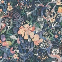 Fairyland Magic Woods