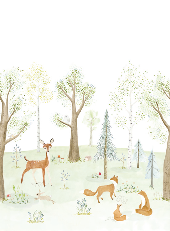 Casadeco - The Enchanted Forest With Once Upon A Time