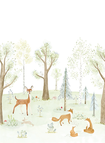 Casadeco - The Enchanted Forest With Once Upon A Time