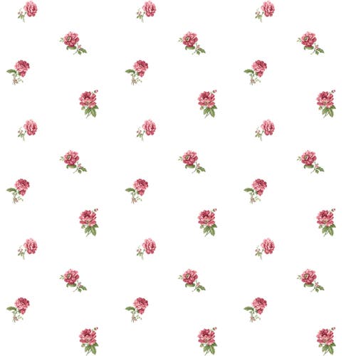 Carma - Blooming Garden