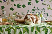 Sycamore and Oak Botanica Arboretum Wallpapers