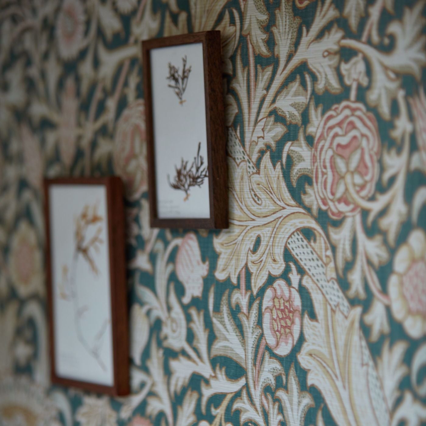 Morris & Co - Trent Teal Emery Walkers House Wall