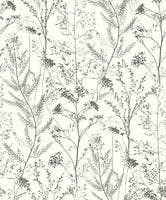 PRAIRIE REGLISSE SENTIER DES DUNES