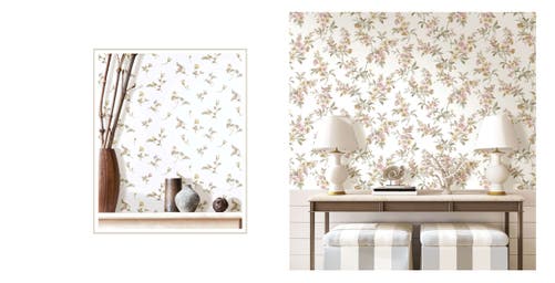 Carma - Blooming Garden