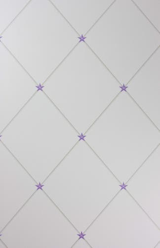 Nina Campbell - Torosay Purple/Stone