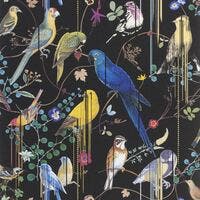 Birds Sinfonia Histoires Naturelles