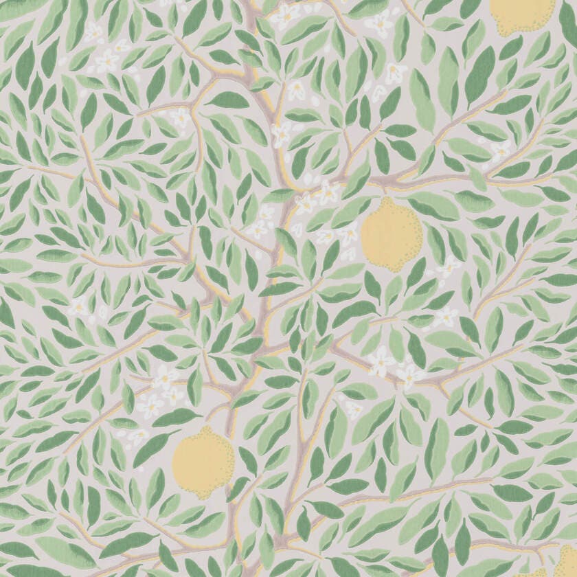 Citrus Ashy Greenery Norrviva