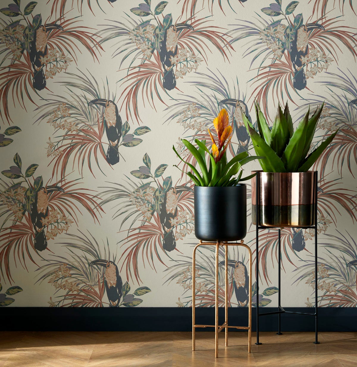 Carma - Le Toucan NW Elodie