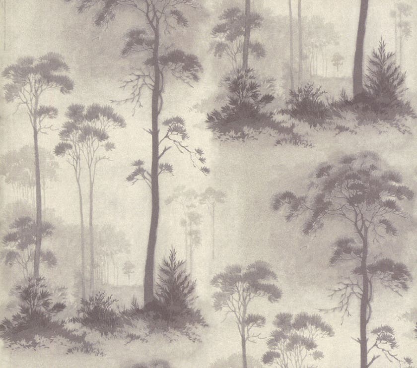 Carma - Prior Park, NW Rosemore