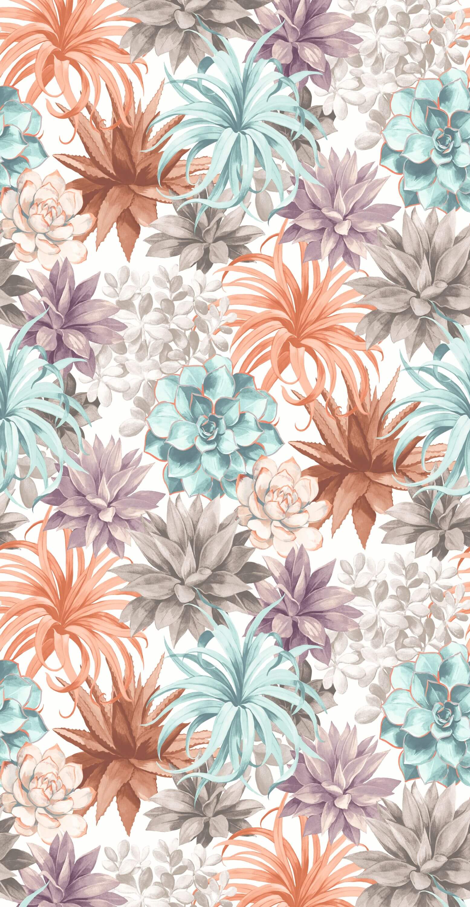 Casadeco - Botanica Echeveria Corail Botanica