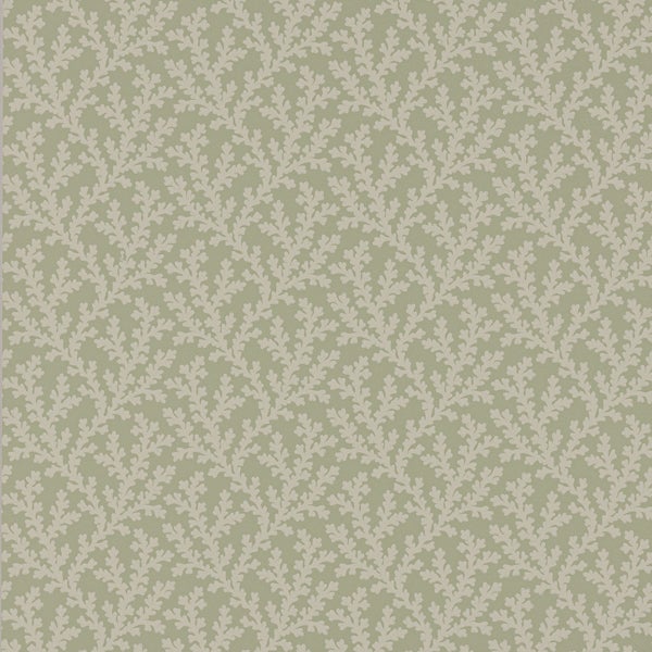 Colefax and Fowler - Sea Coral Willow