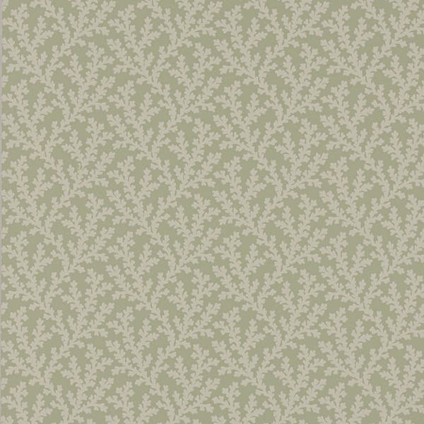 Colefax and Fowler - Sea Coral Willow