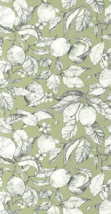 LEMON TREE ARGILE VERTE SOLIFLORE