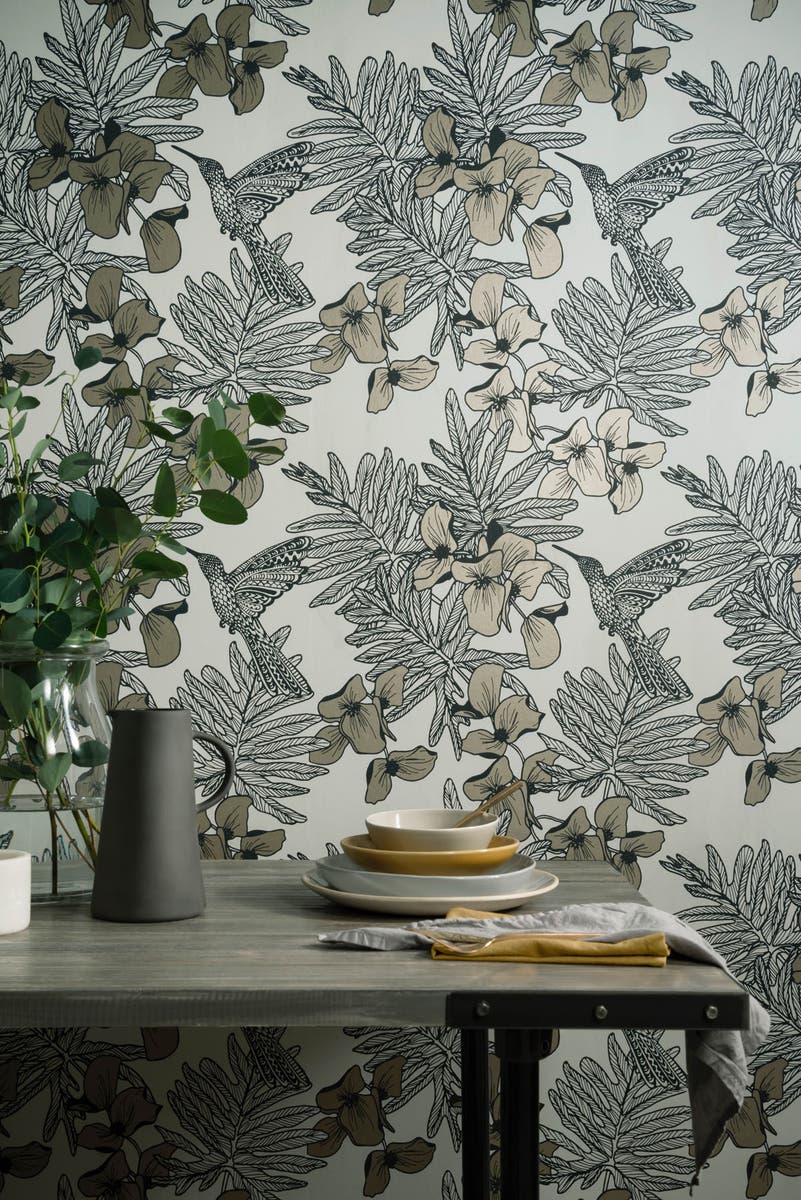 Carma - Hummingbird Jet NW Aurora