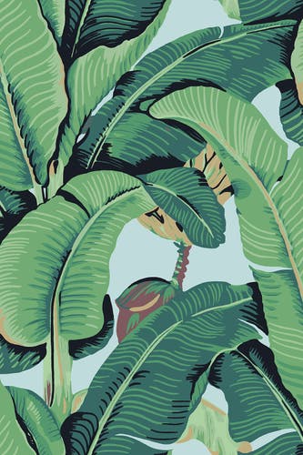 Jannelli & Volpi - Hinson Palm