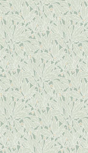 Carma - Legacy Prints