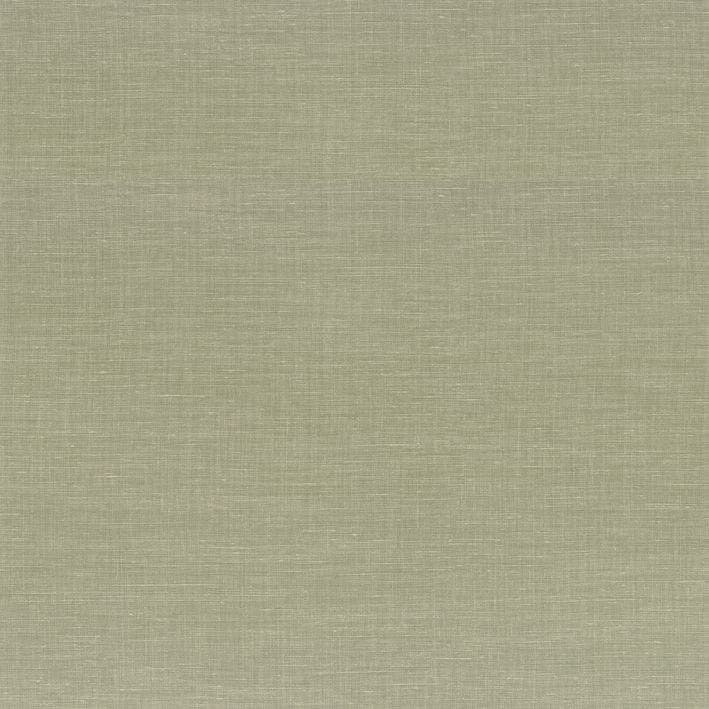 SHINOK CACTUS LE LIN 3