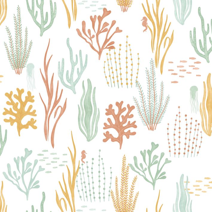 Caselio - Les Fonds Marins Multicou Les Mini Mondes