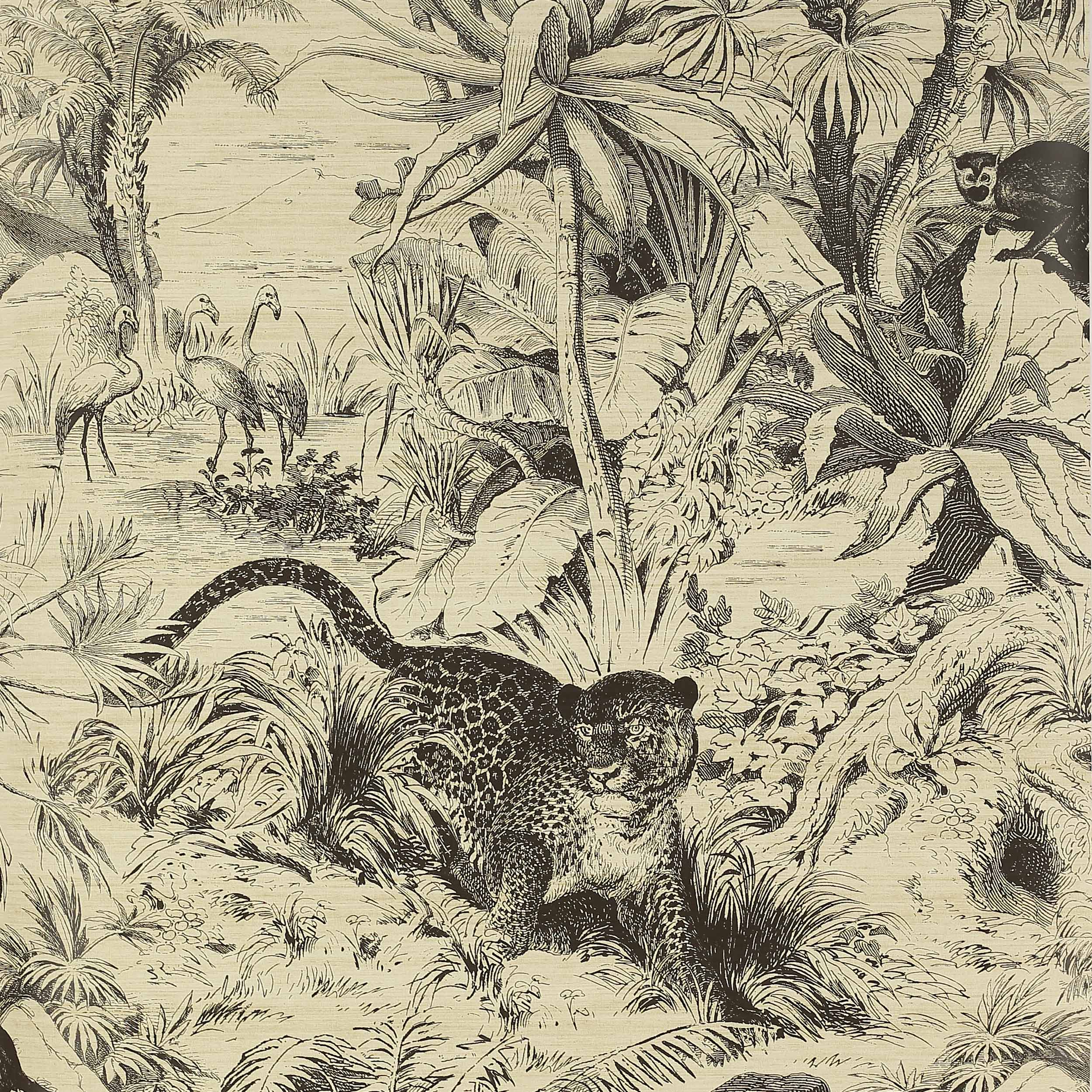 Manuel Canovas - Salvator Noir