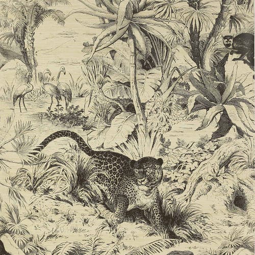 Manuel Canovas - Salvator Noir