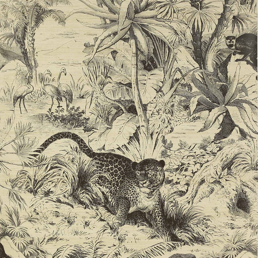 Manuel Canovas - Salvator Noir