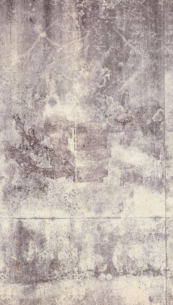 The Wall