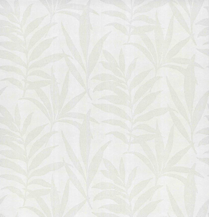 Verdi flock NW Camellia