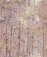 Glade Beach NW Aurora