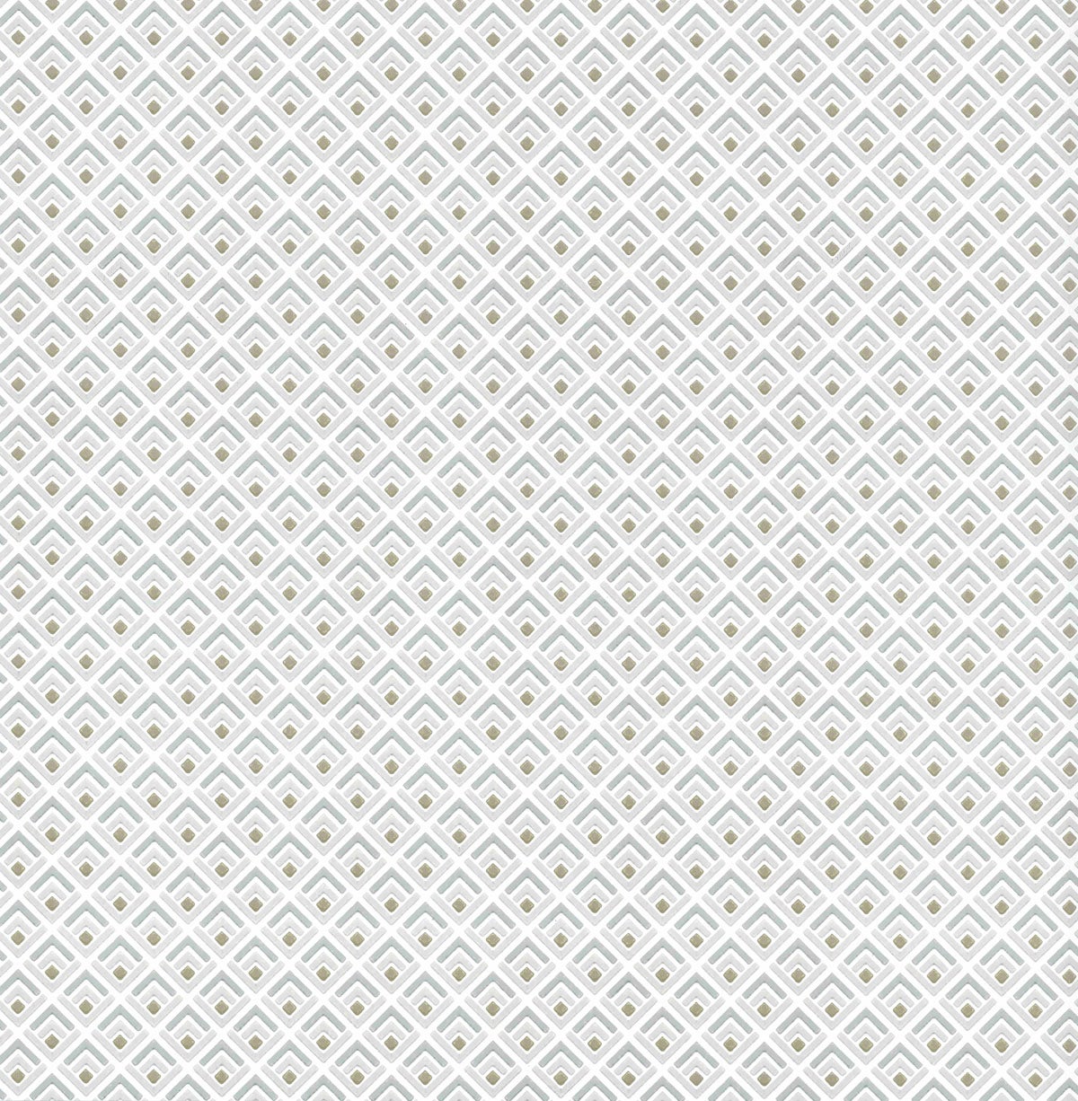 Carma - Gio NW Camellia