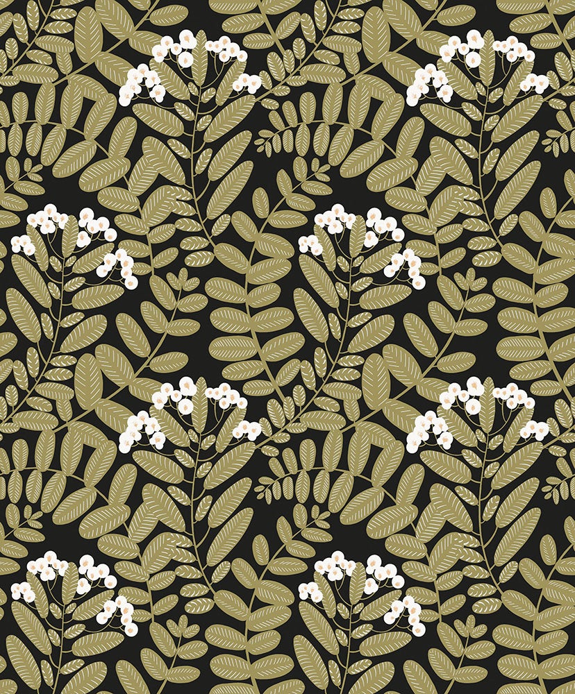 Midbec Tapeter - Bodie