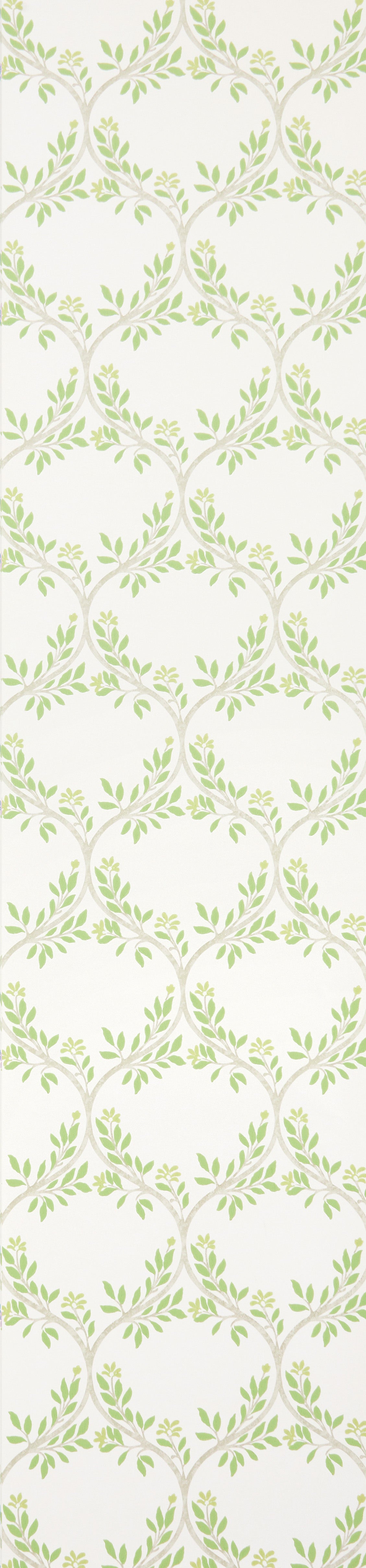 Nina Campbell - Arber Nc Signature Arber Green