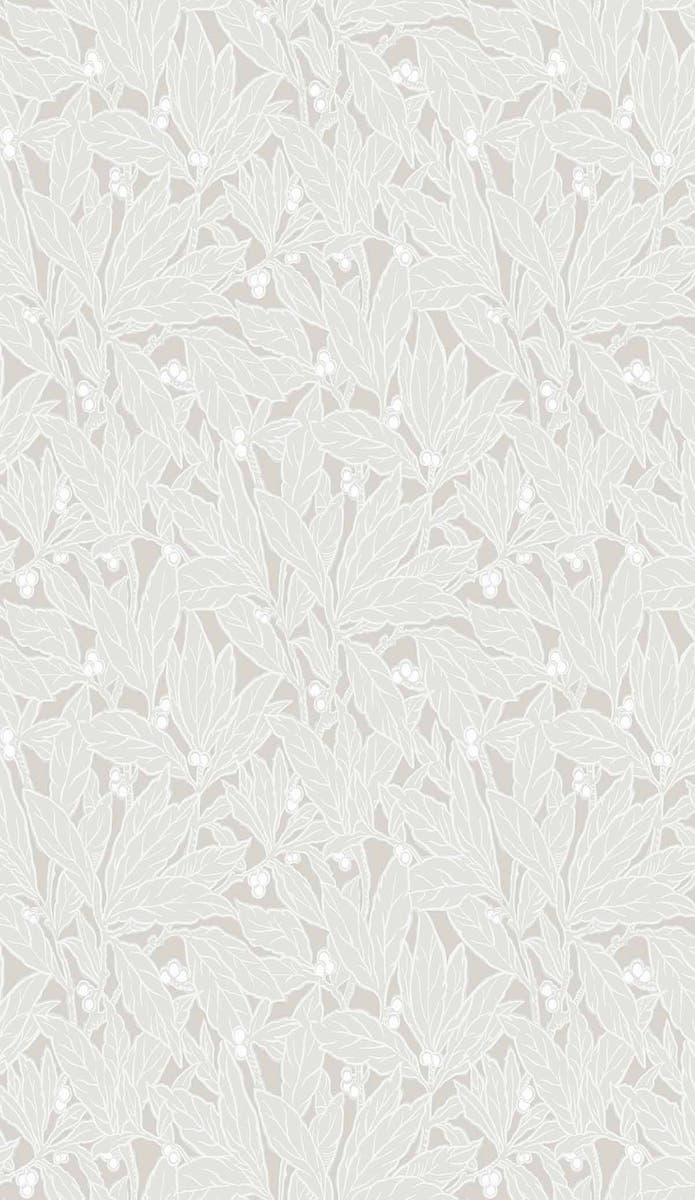 Carma - Legacy Prints