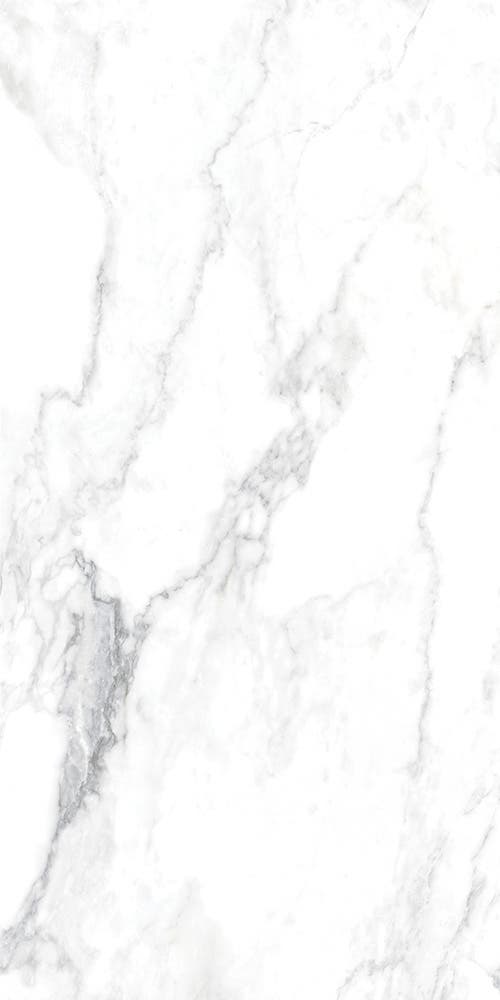Canova Arabescato polerad 60x120 såg