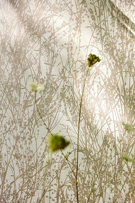 Sanderson - Meadow Canvas Gilver/Line Country Woodland Wallcove