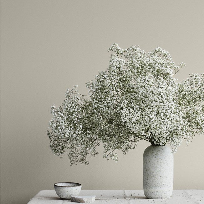 12078 Comfort Grey - Jotun Lady Pure Color