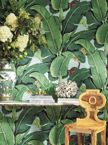 Jannelli & Volpi - Hinson Palm